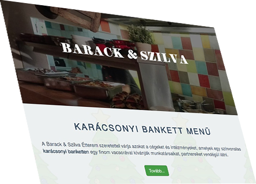 www.barackesszilva.hu